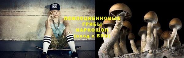 шишки Абдулино