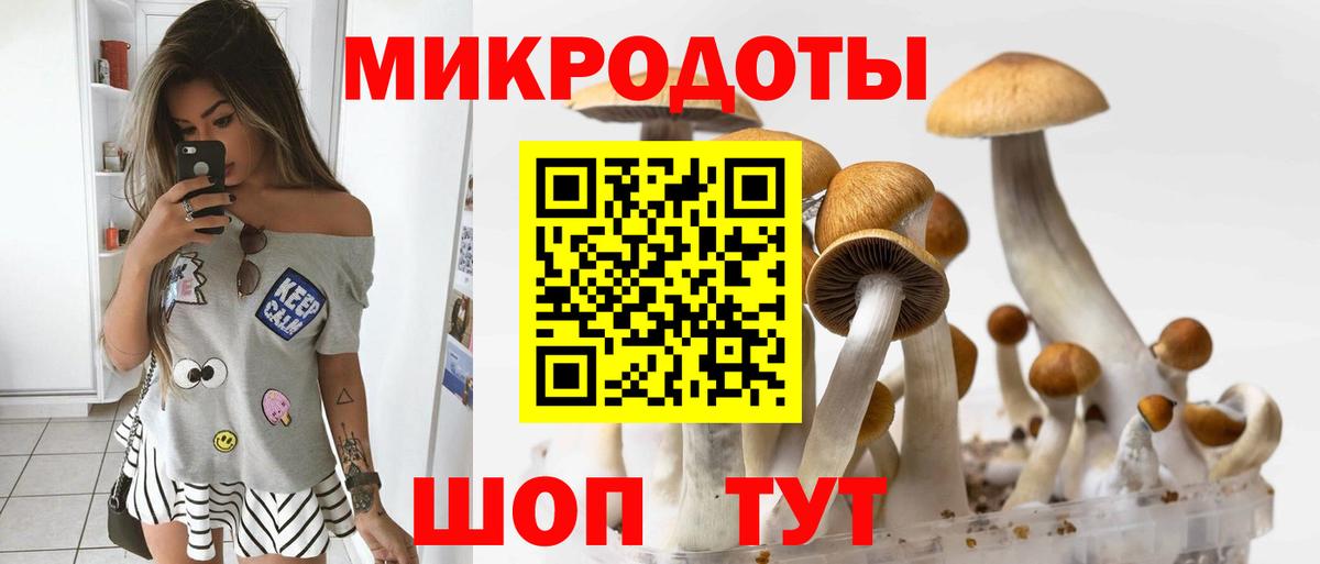 Псилоцибиновые грибы GOLDEN TEACHER Ухта